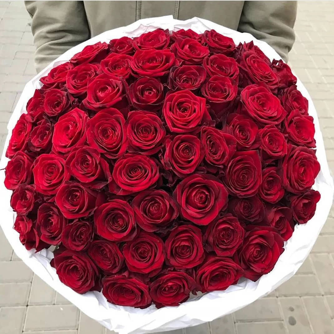 Qırmizi roza buketi 101ədəd