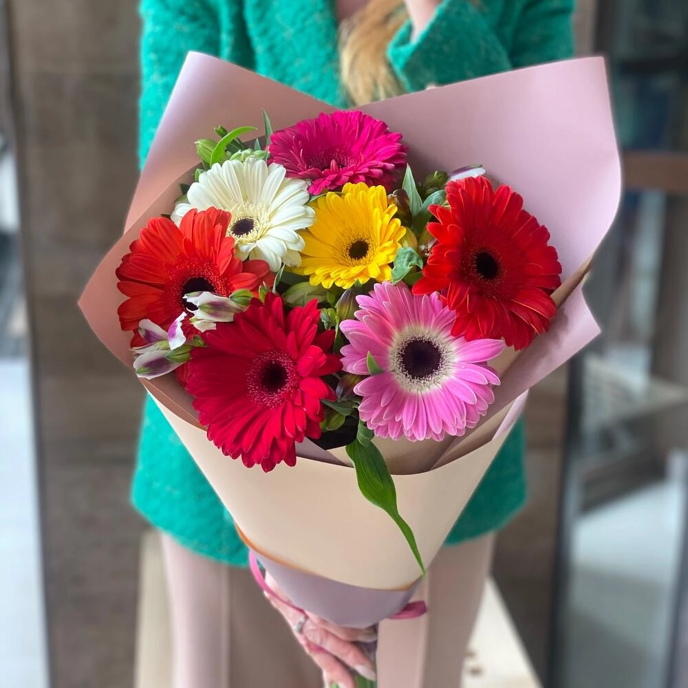 Gerbera 7 ədəd