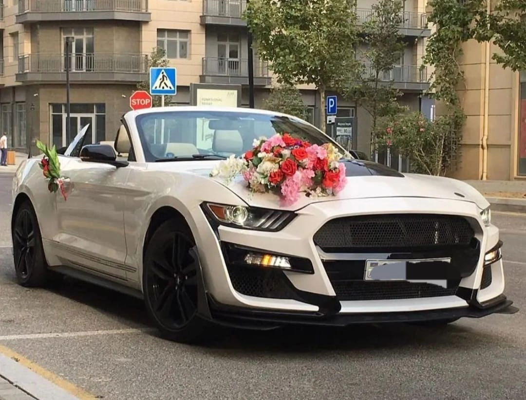 Maşın bəzəyi kirayə