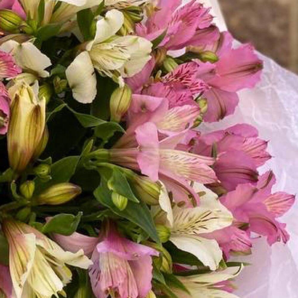 Gül buketi alstrameriya ilə