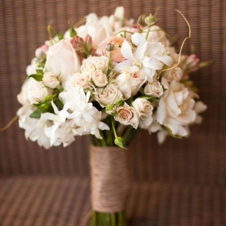 Gəlin gülü ağ tonlarda