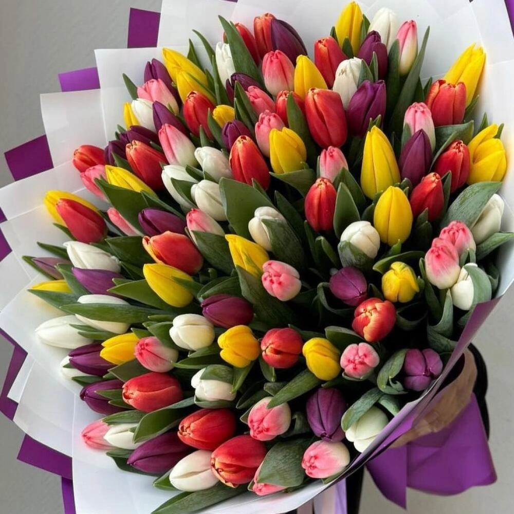 101 tulpan buket
