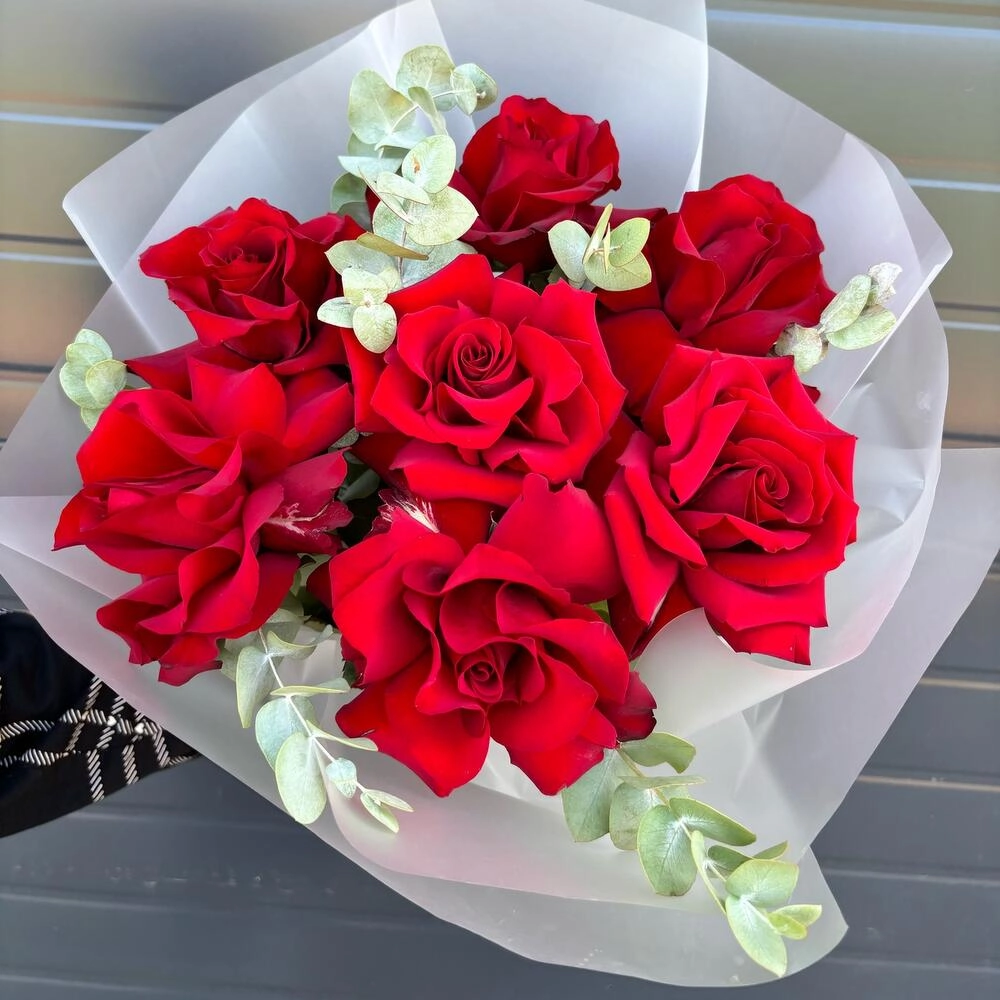 Qırmızı roza fransız açılışı