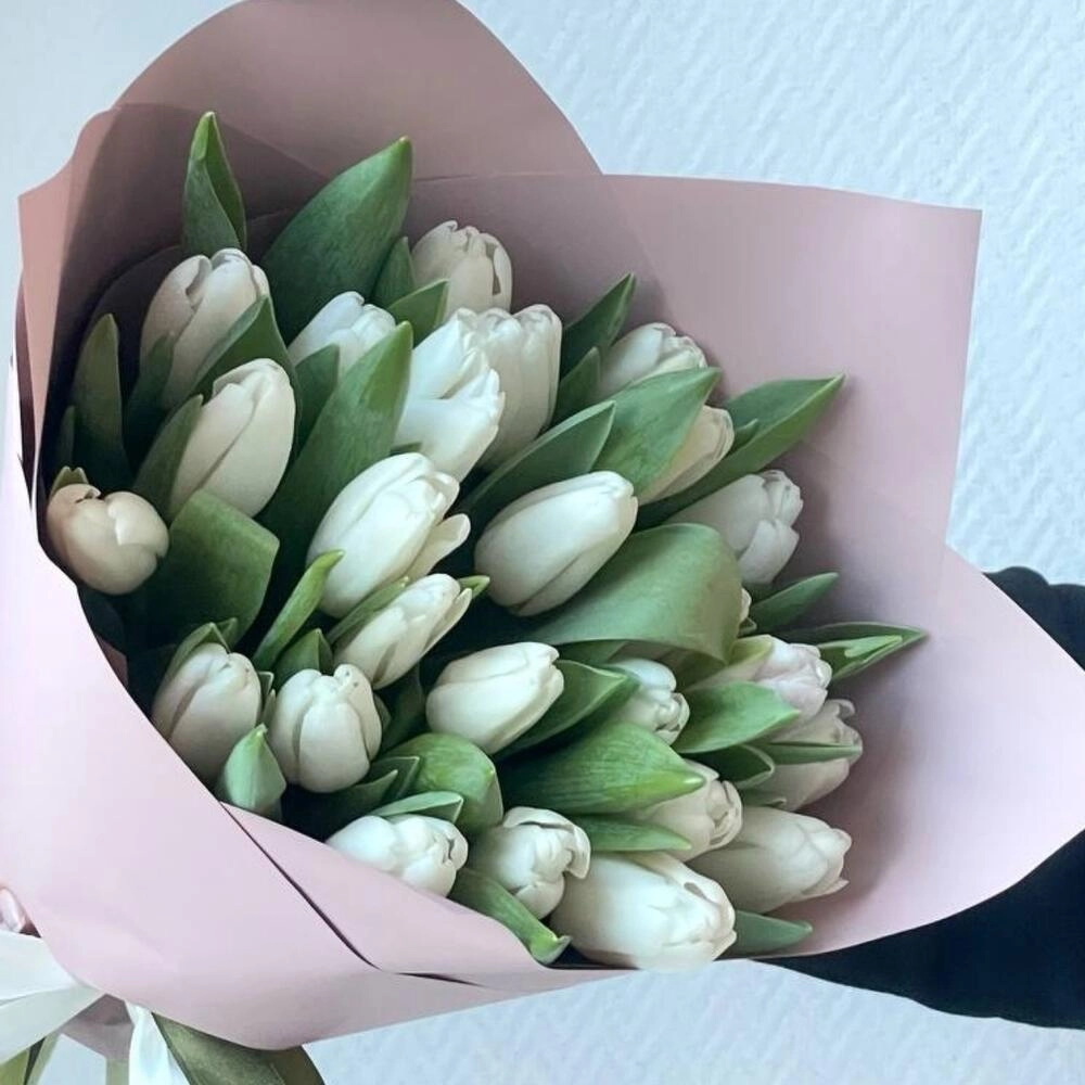 Ağ tulpan bağlamada