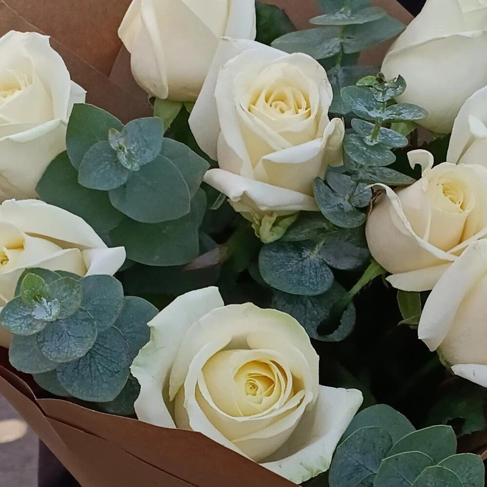 Ağ roza buketi 7 ədəd