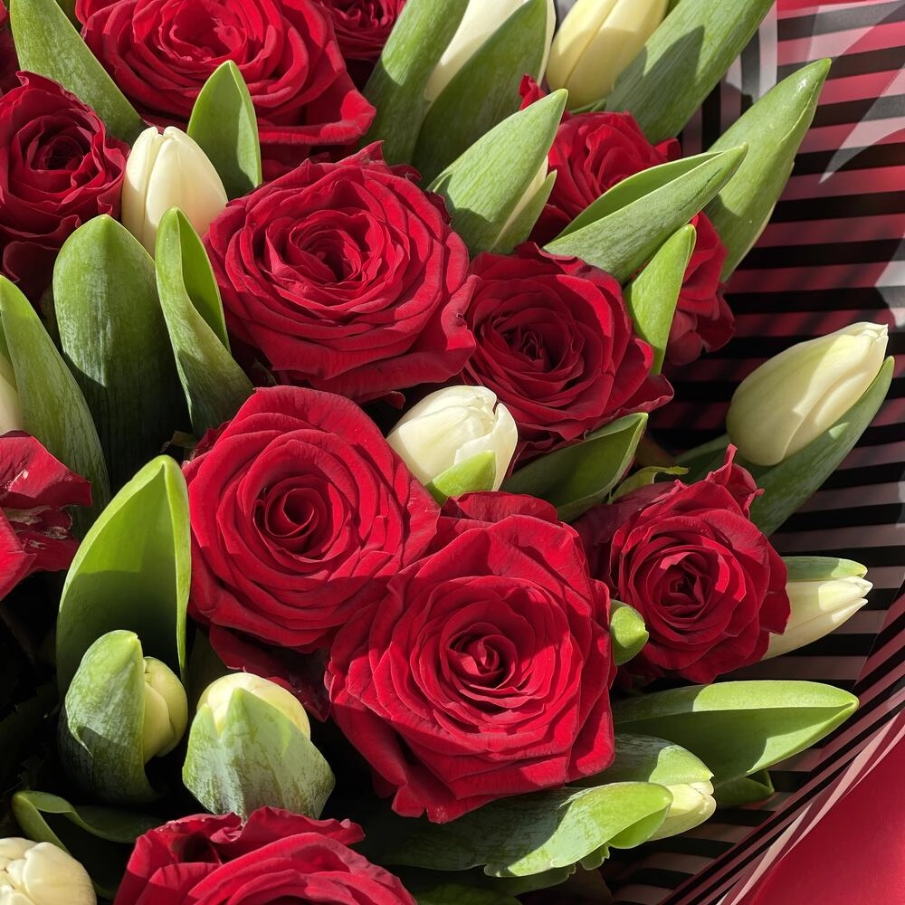 Qızılgül və tulpan