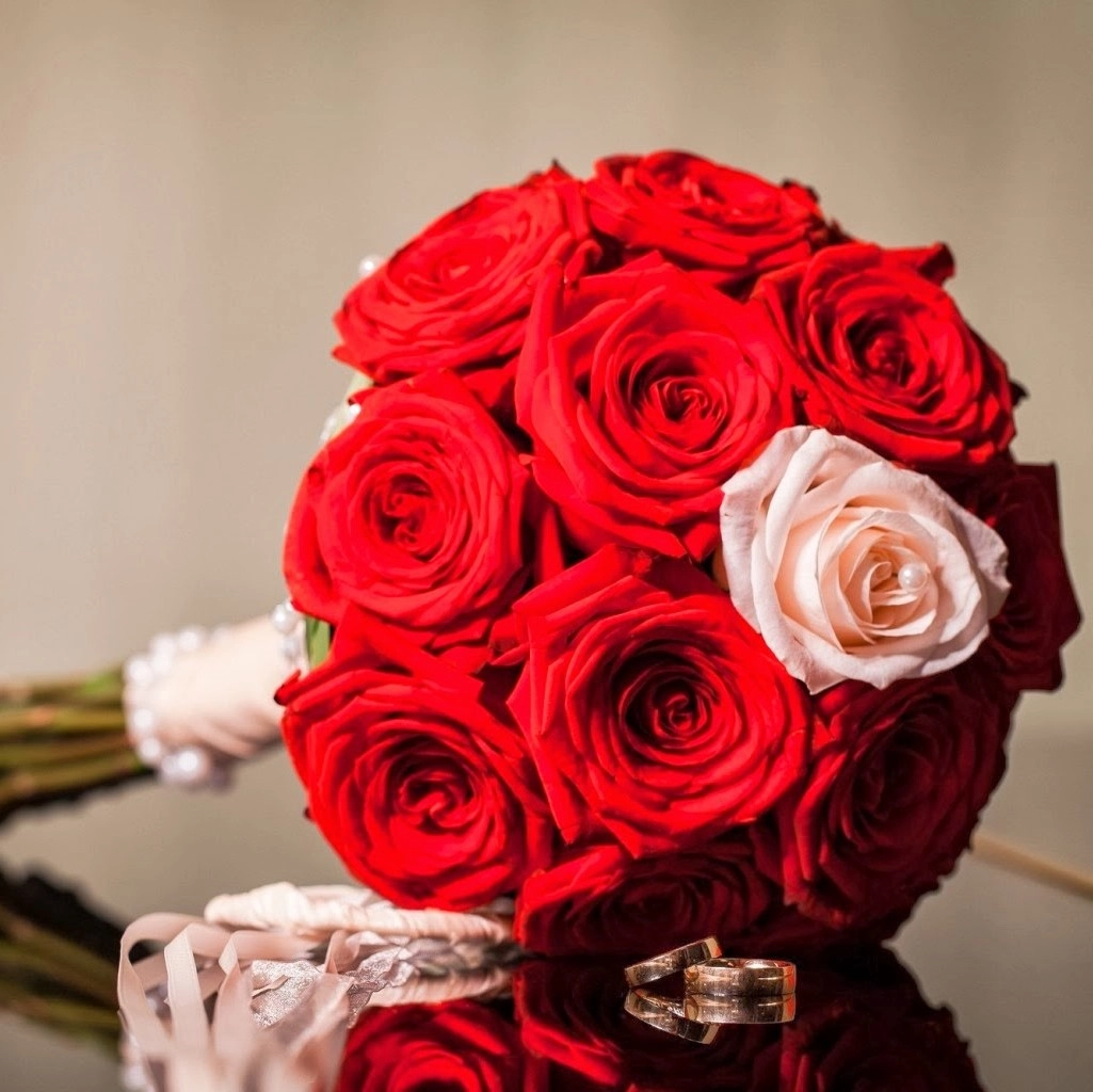 Gəlin gülü qırmızı rozalarla