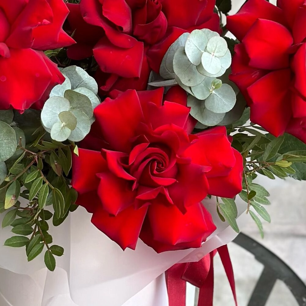 Qızılgül qutusu qırmızı