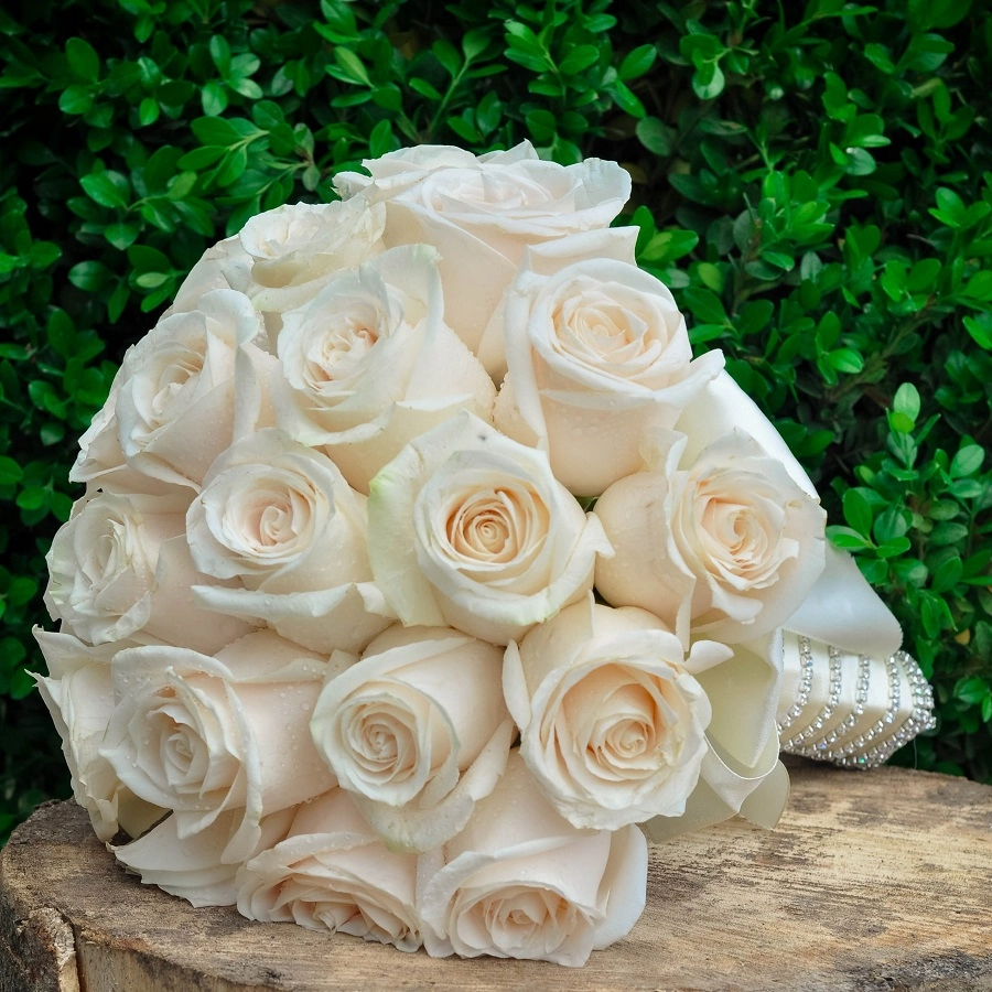 Gəlin buketi ağ qızılgüllərlə