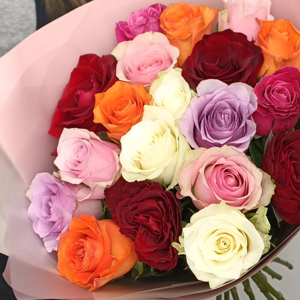 Rəngli qızılgüllər