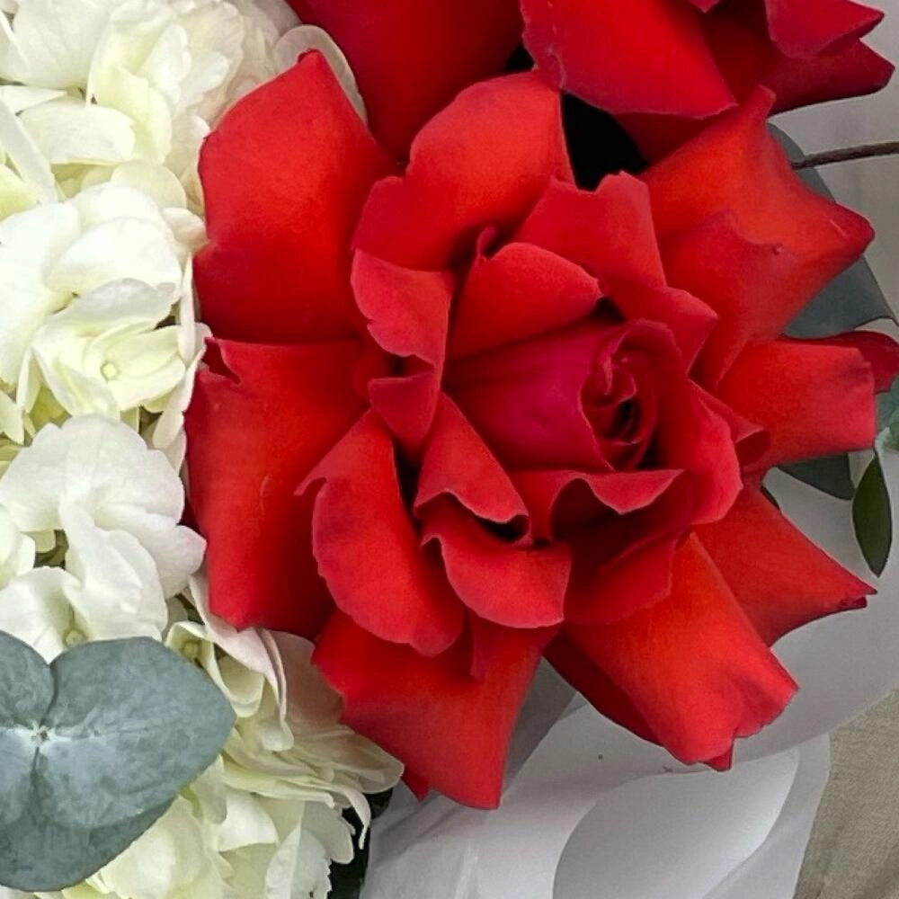 Gul buketi roza və qortenziya