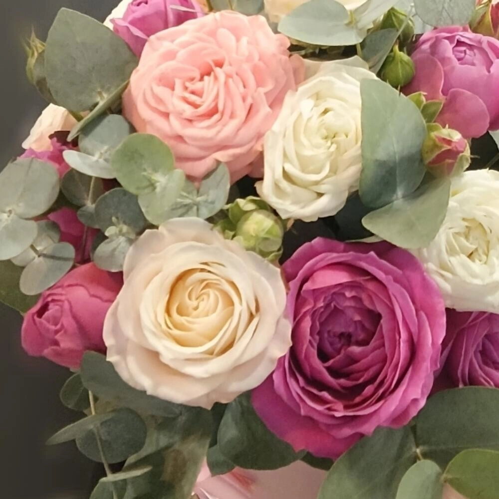 Kustavoy rozalar qutusu