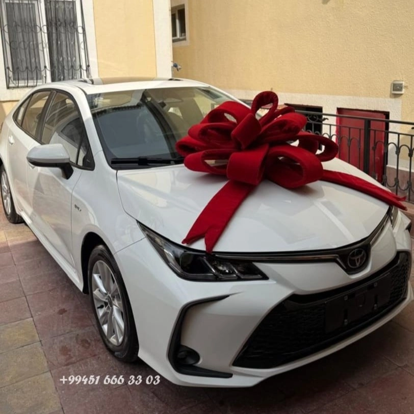 Bantik hədiyə üçün