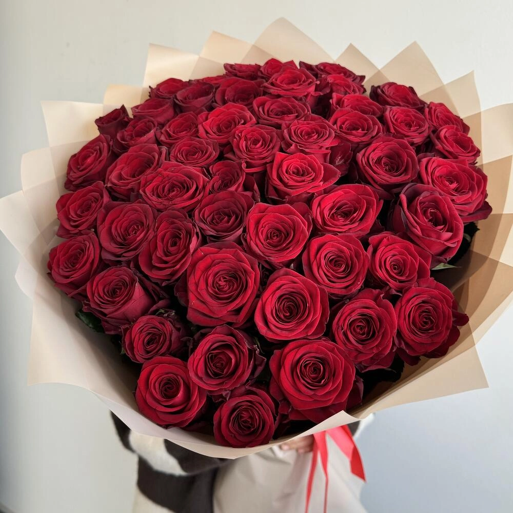 51 qırmızı qızılgül