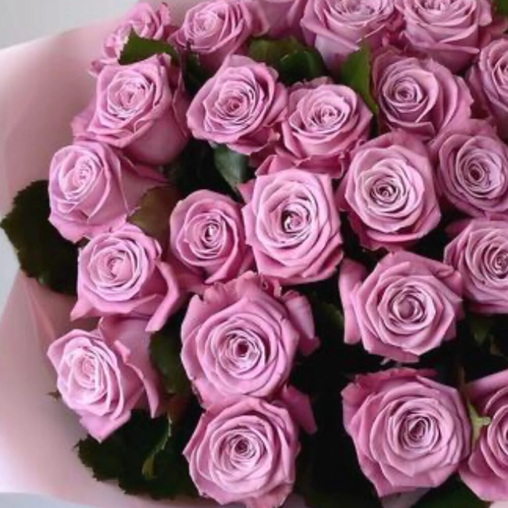 25 ədəd çəhrayı qızılgül