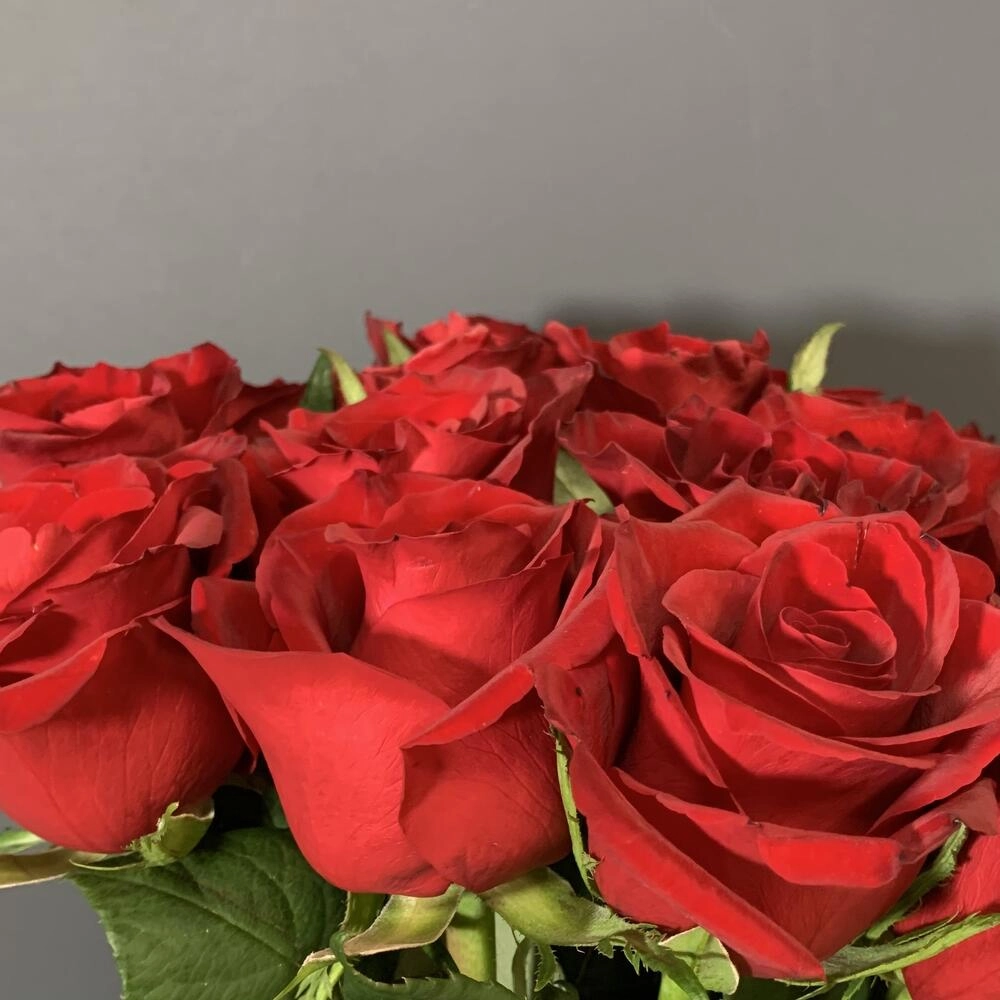 15 ədəd qırmızı qızılgül