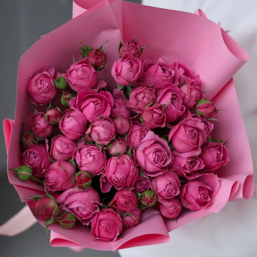 Kustavoy pion rozalar