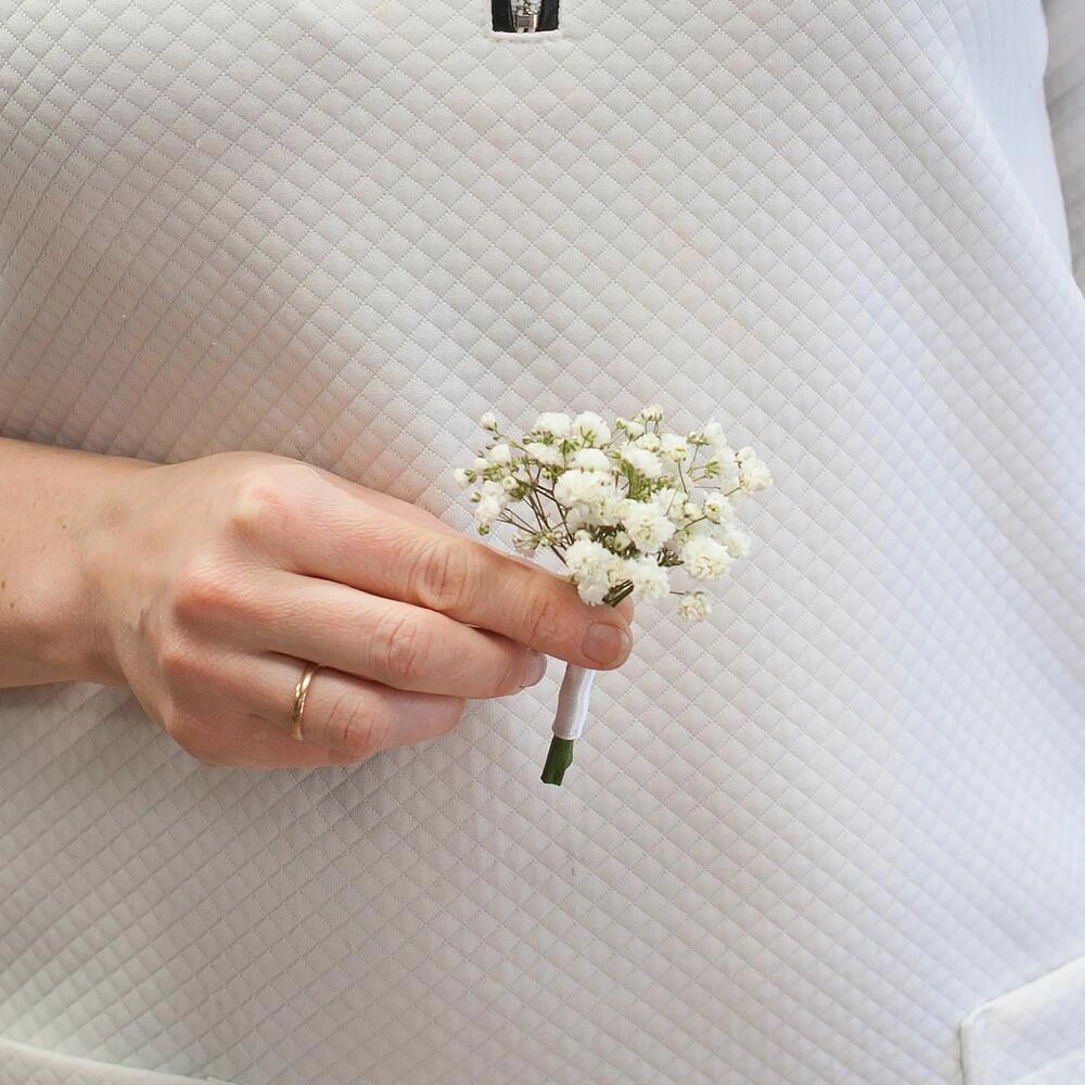 Gəlin gülü gipsofila