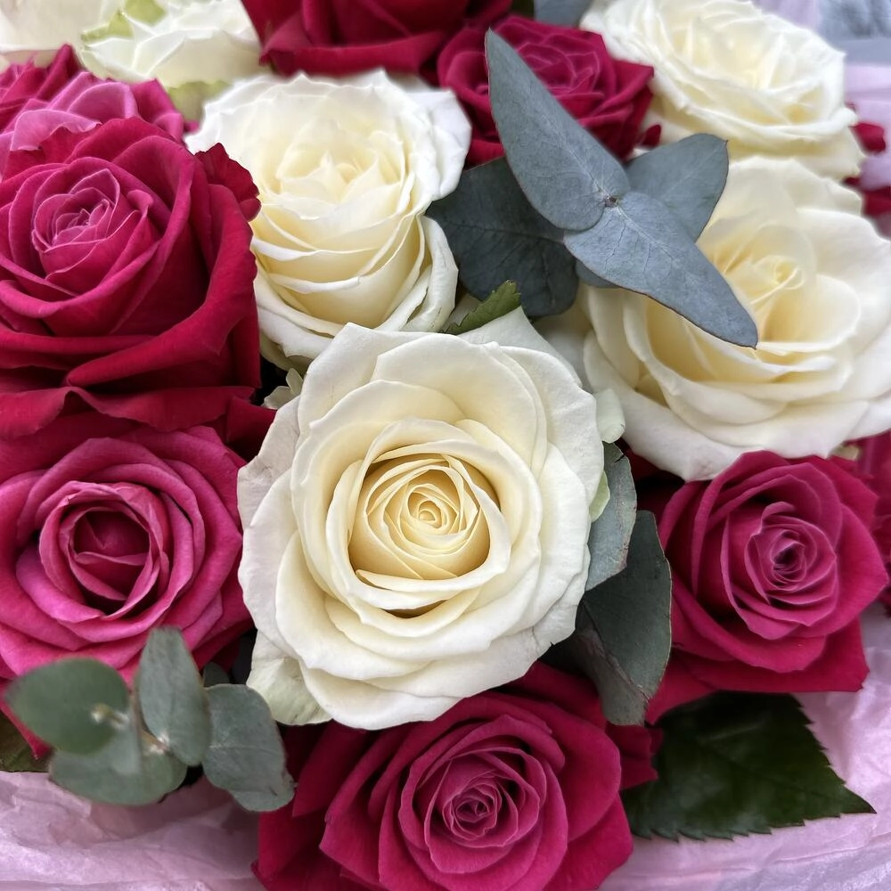 Ağ və çəhrayı güllər