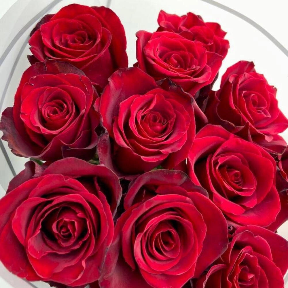 11 ədəd qızılgül