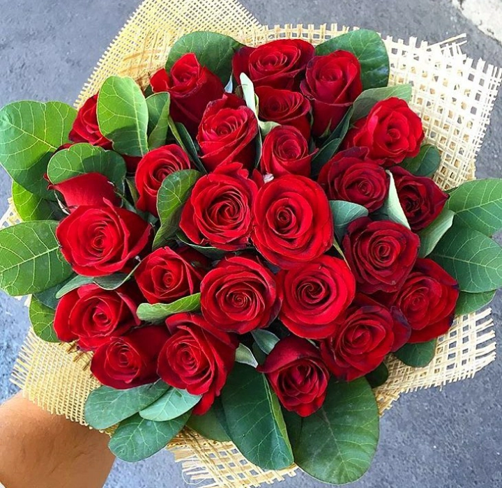 25 qırmızı roza Qızılgül