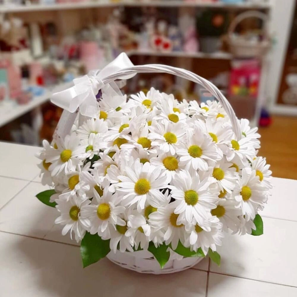 Ağ papatya gül səbəti 8 mart