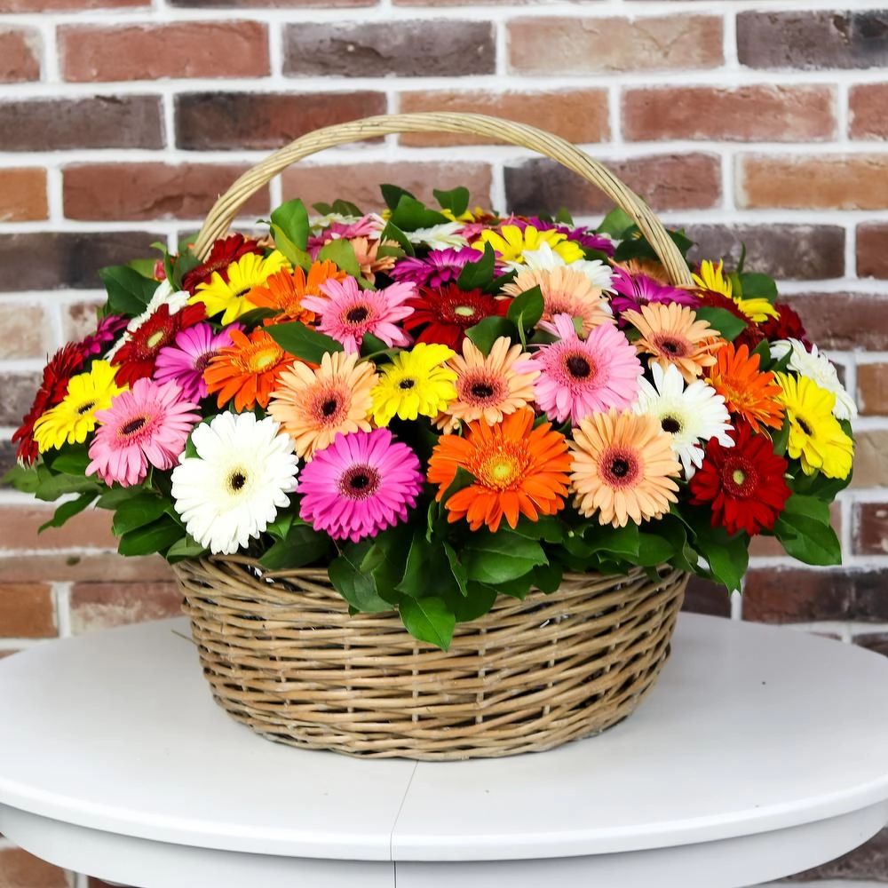 Gerbera səbəti 8 mart