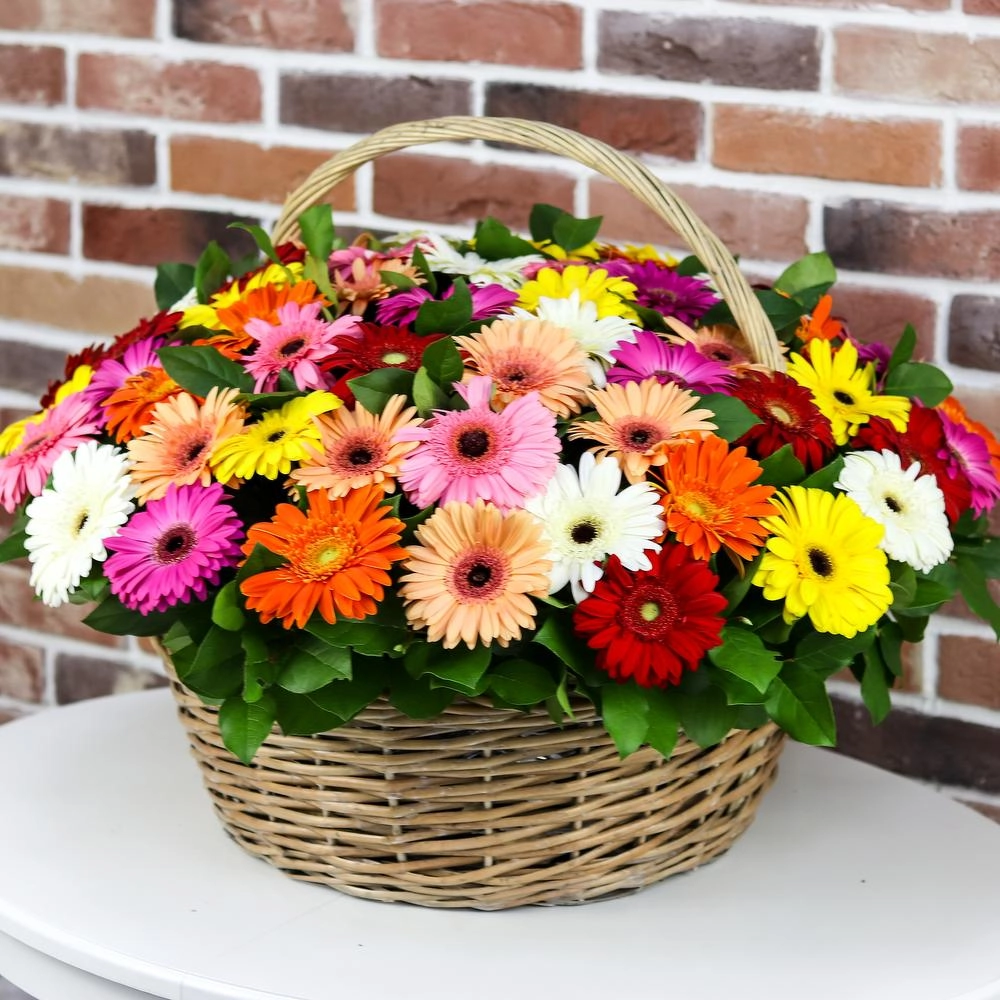 Gerbera səbəti 8 mart - Image 2