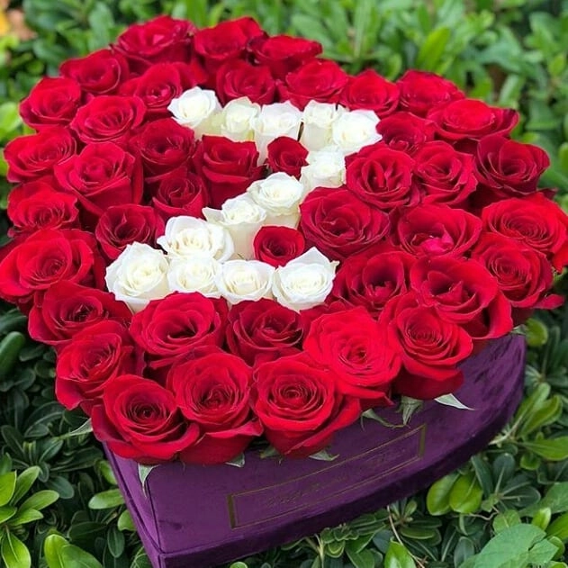 Hərfdən güllər 8 mart