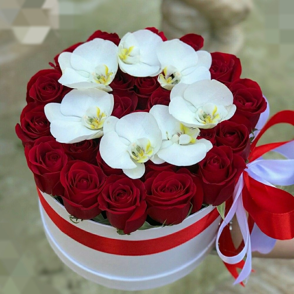 Qızılgül və orxideya 8 mart