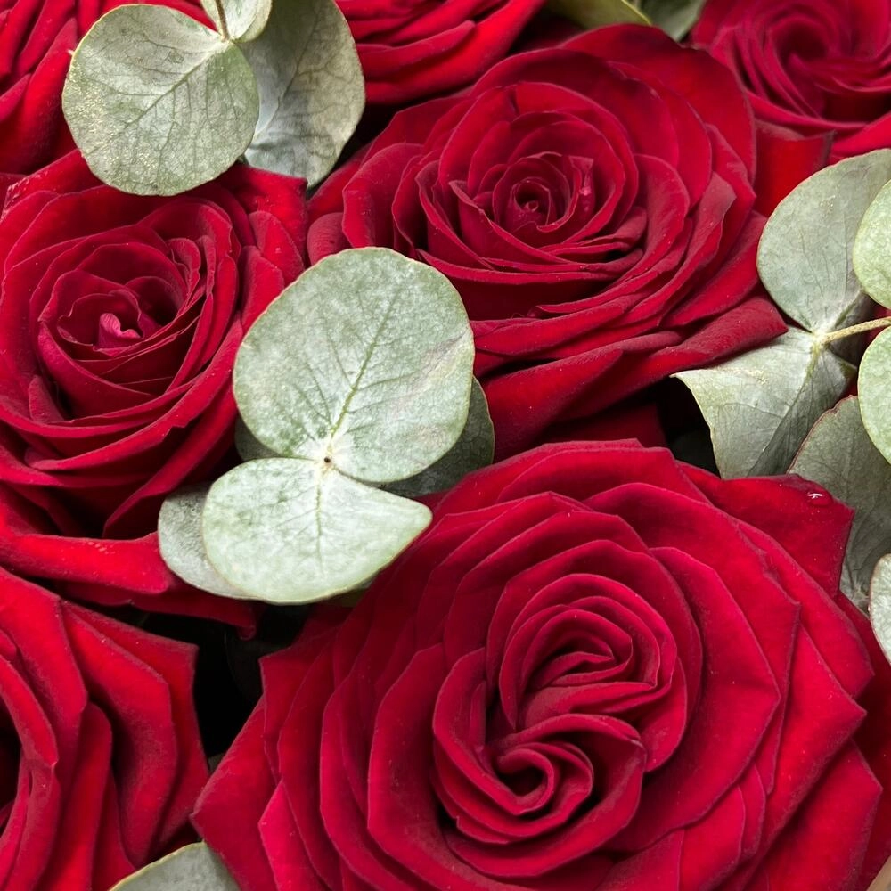Rozalar səbətdə 8 mart - Image 4
