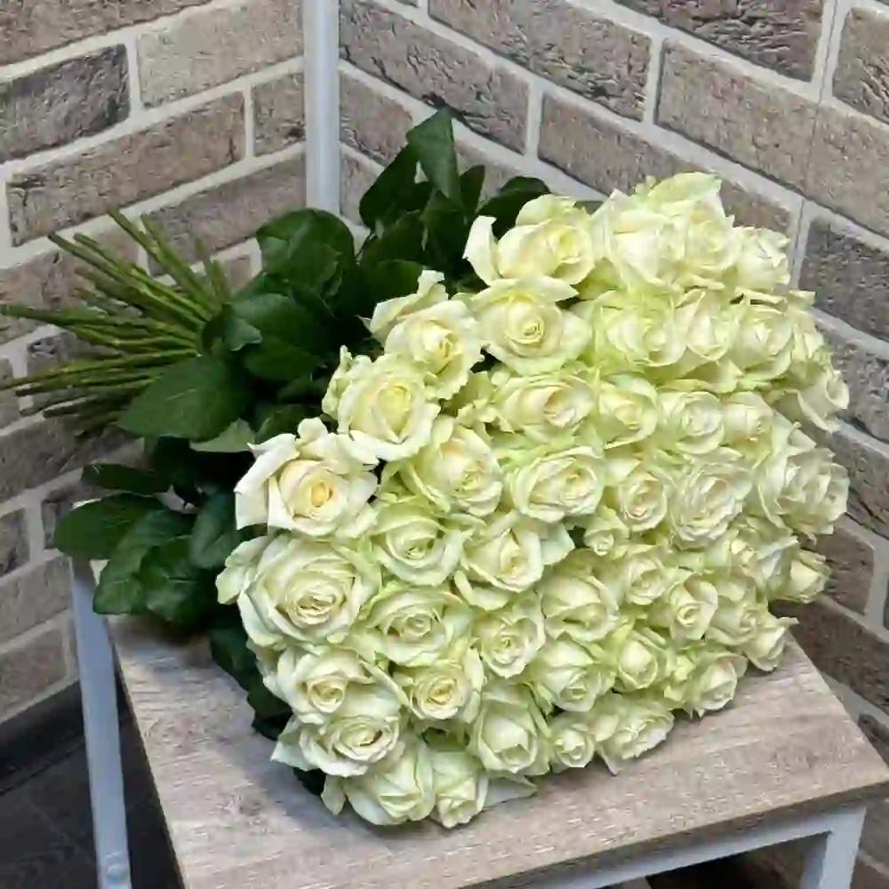 51 ədəd ağ roza