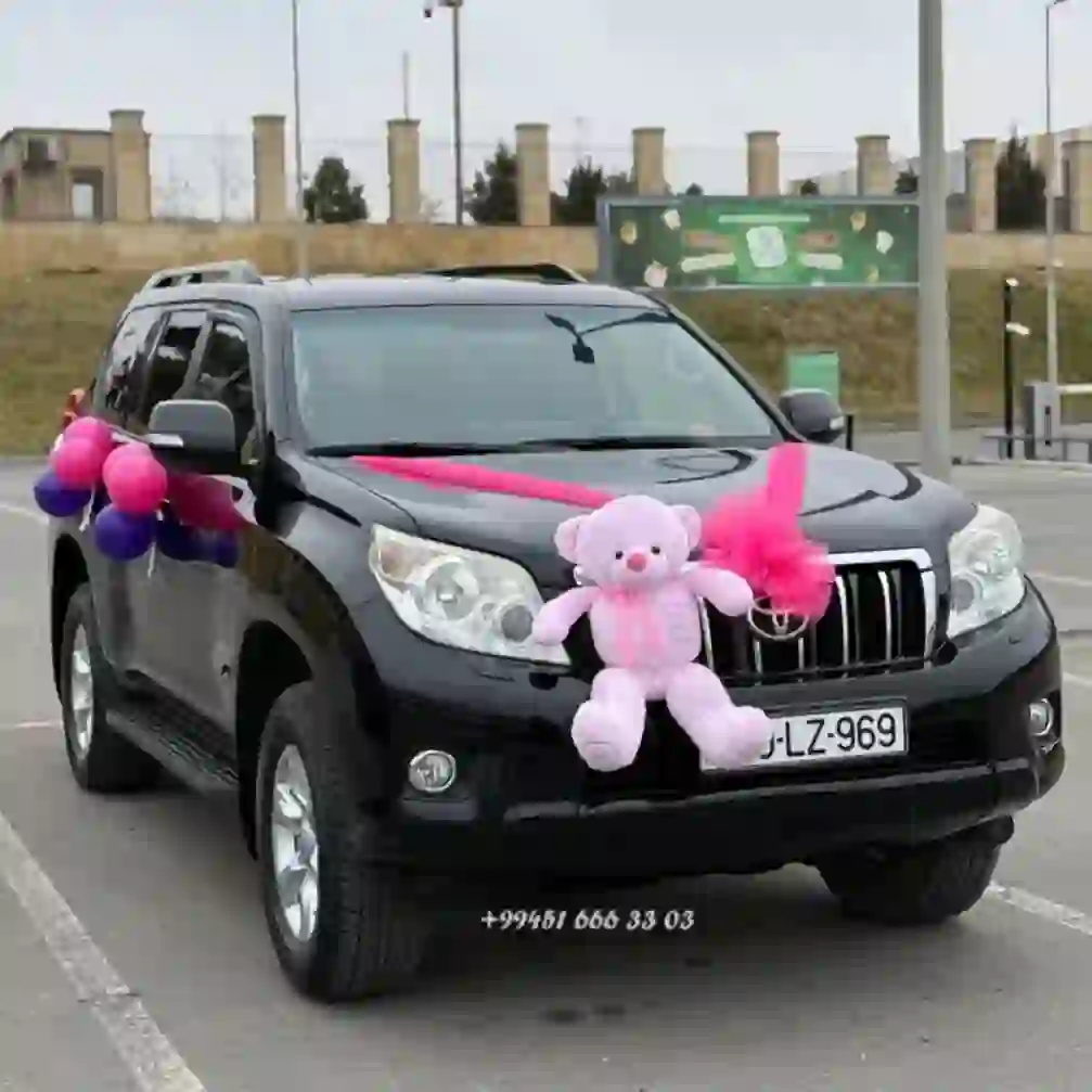 Yeni doğulmuş körpələr üçün xəstəxana çıxışı maşın bəzədilməsi