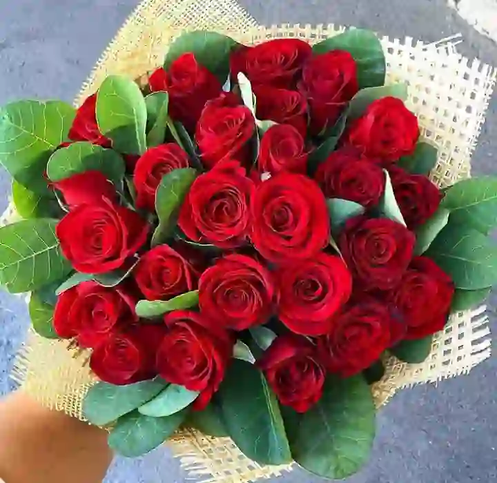25 qırmızı roza