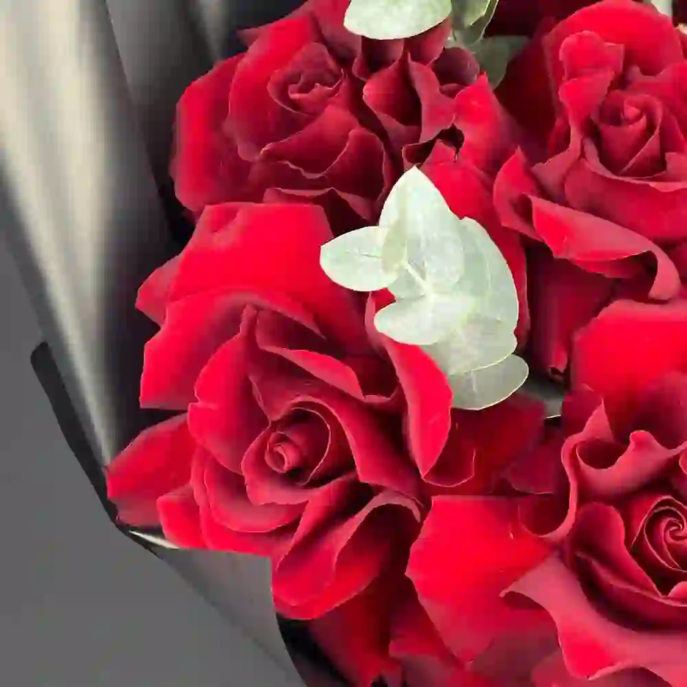 Qırmızı roza 7 ədəd