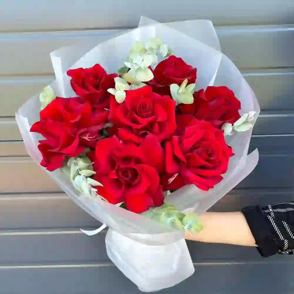 Qırmızı roza fransız açılışı
