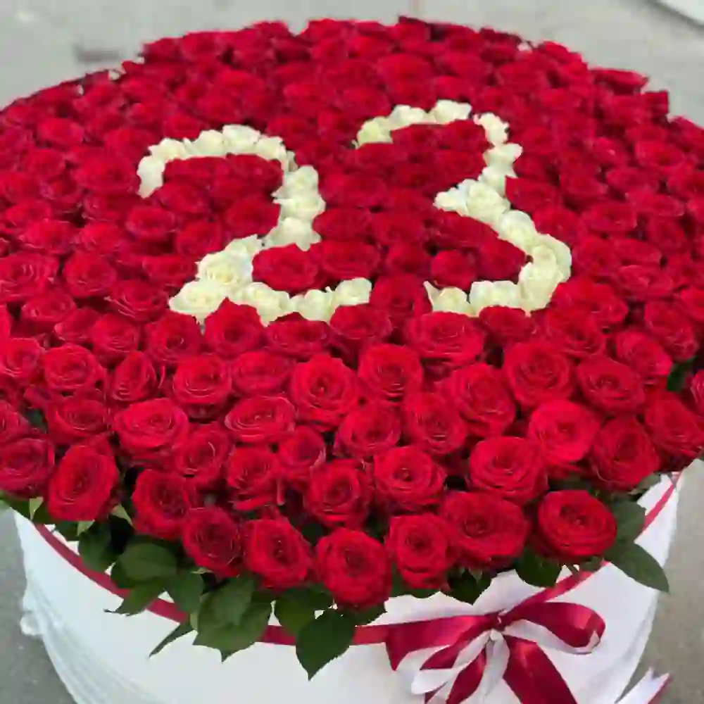 101 roza 23 rəqəmi
