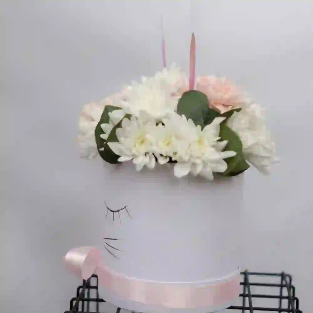 "Cat" box