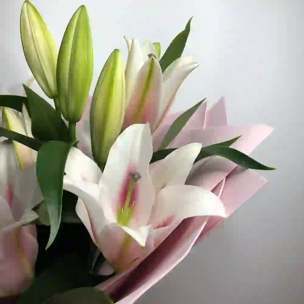 Liliya buketdə