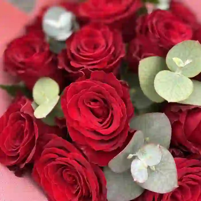 Qırmızı roza buketdə