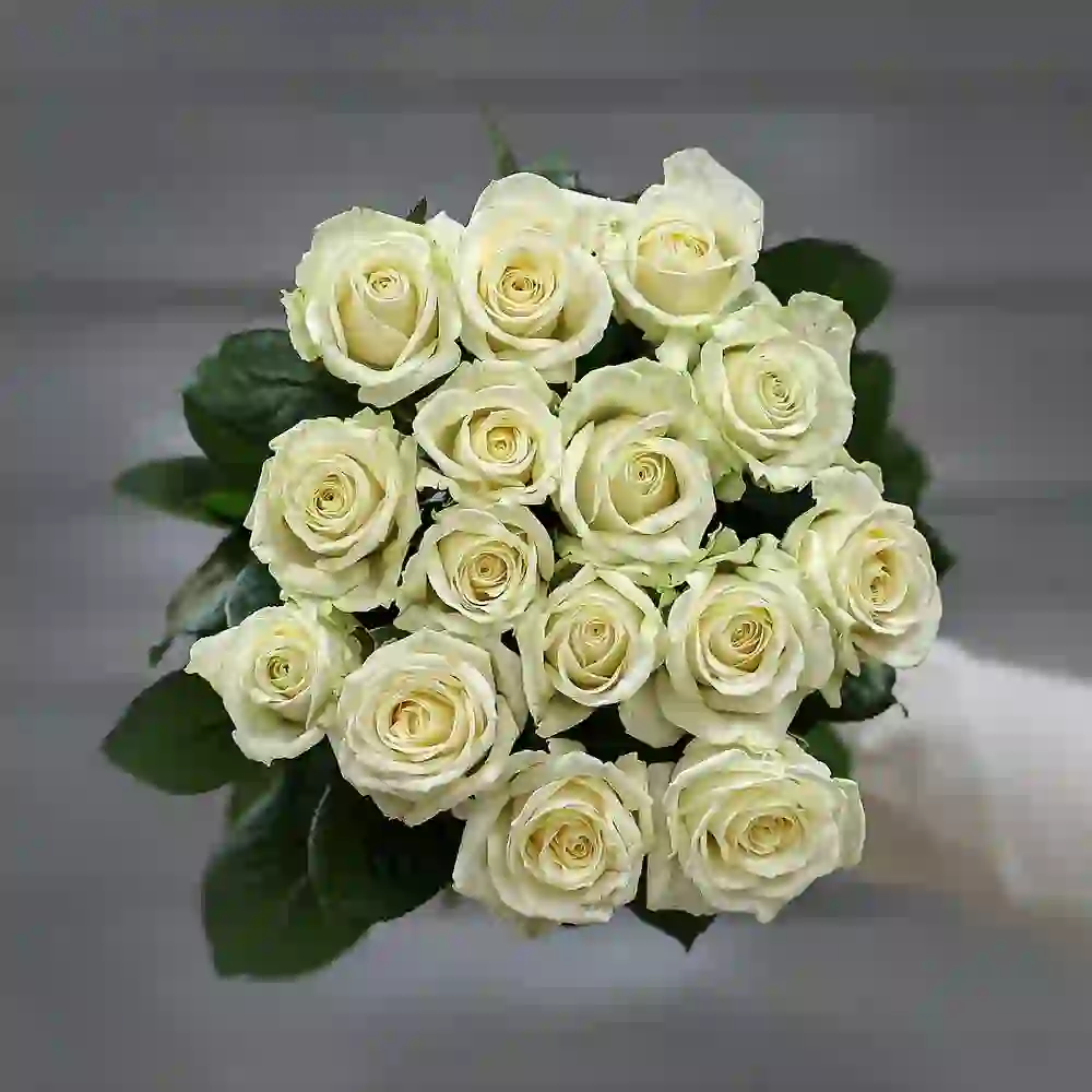 Ağ qızılgül 15 ədəd