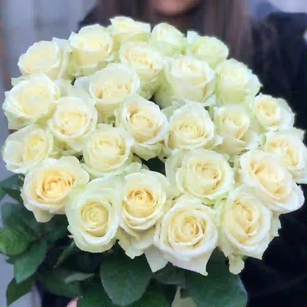 Ağ roza 25 ədəd
