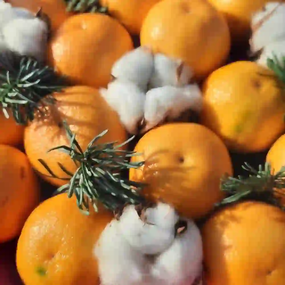 Meyvə buketi mandarin ilə