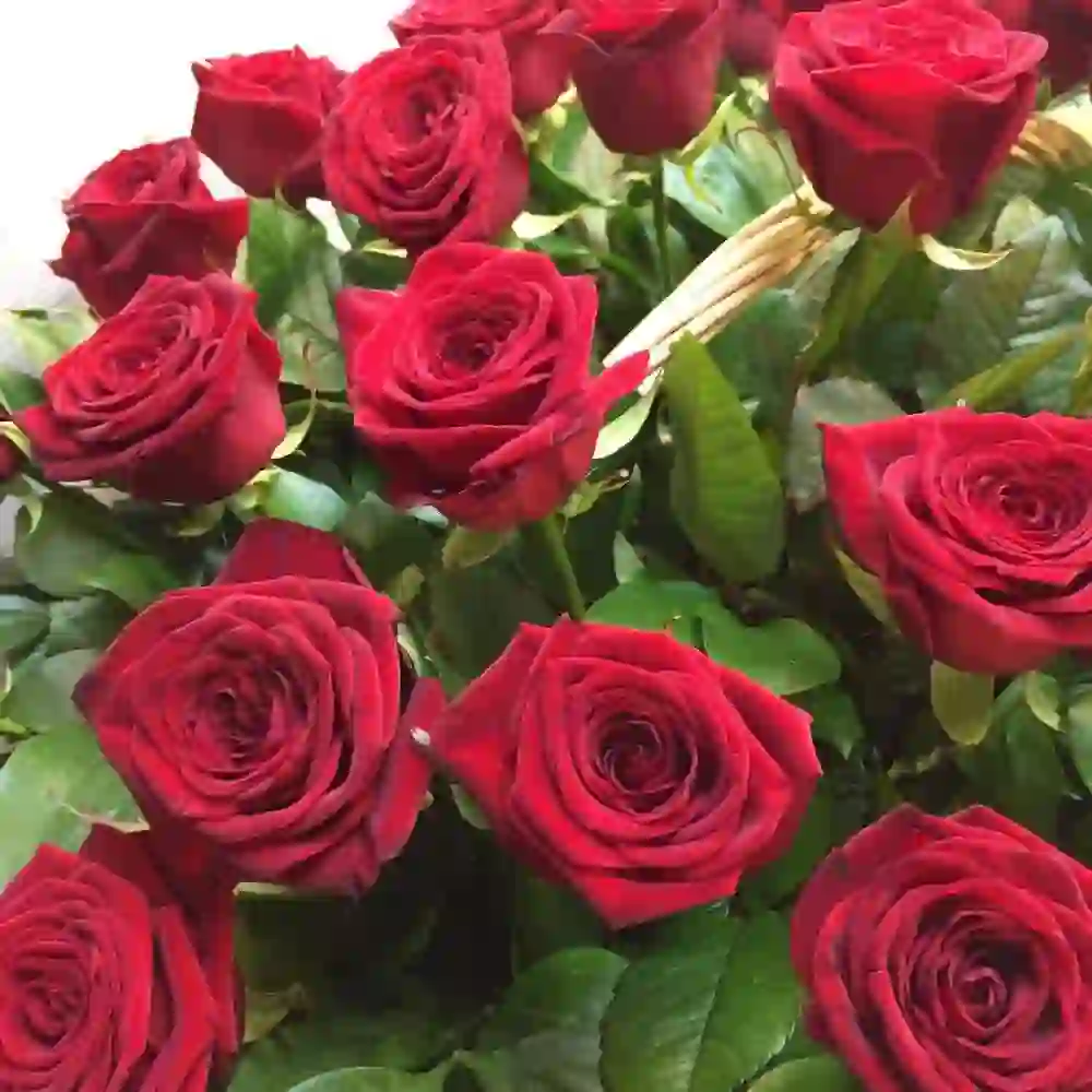 Gül səbəti qırmızı rozalarla