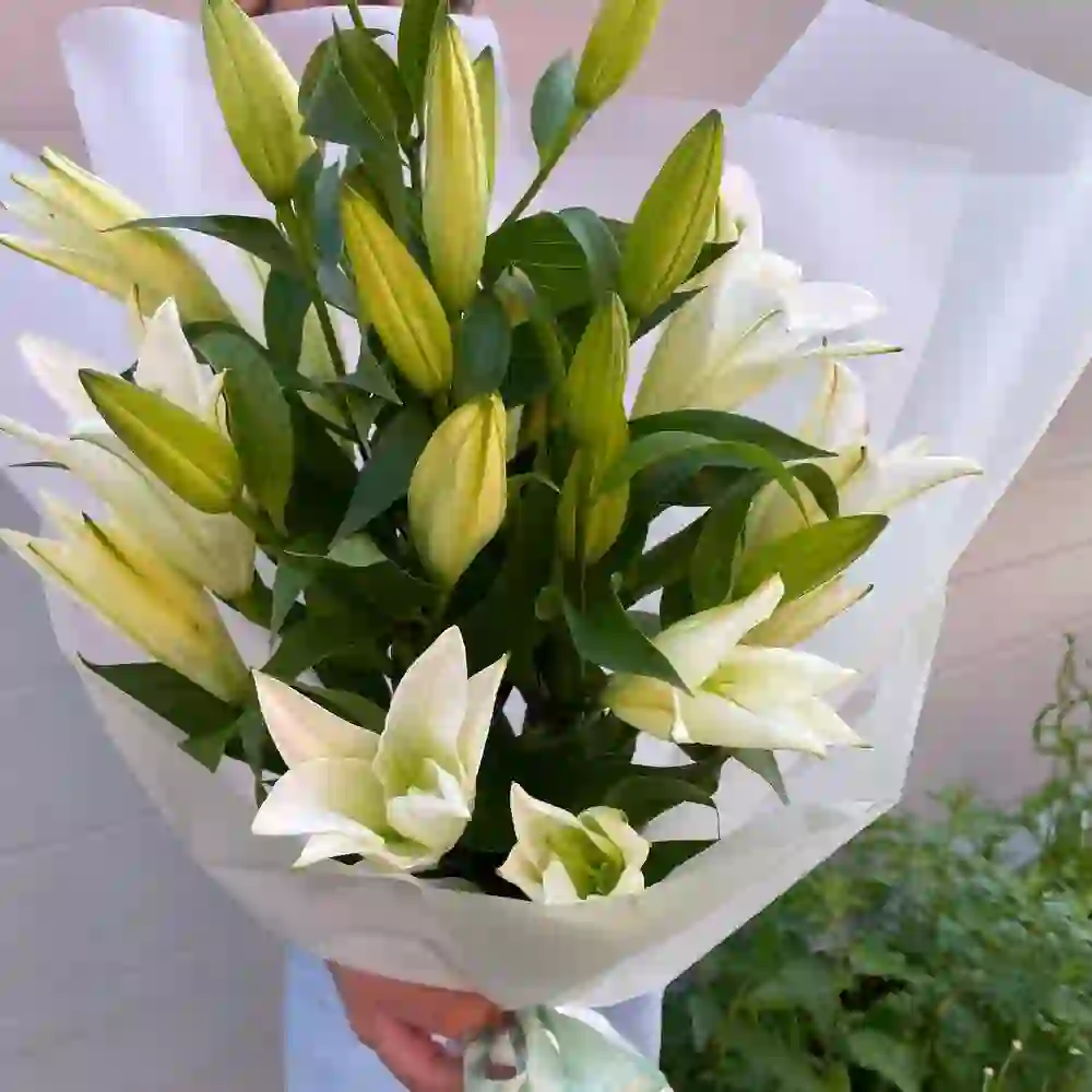 Liliya buketi