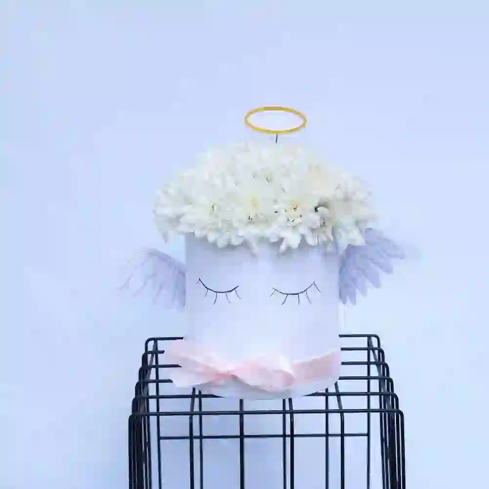 Ağ xrizantema "Angel"