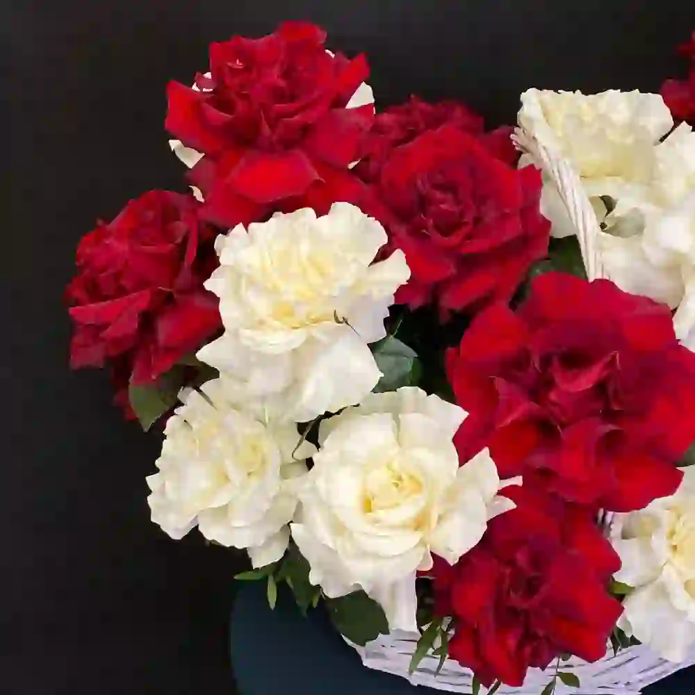 Gül səbəti 19 ədəd fransız açılışı ilə
