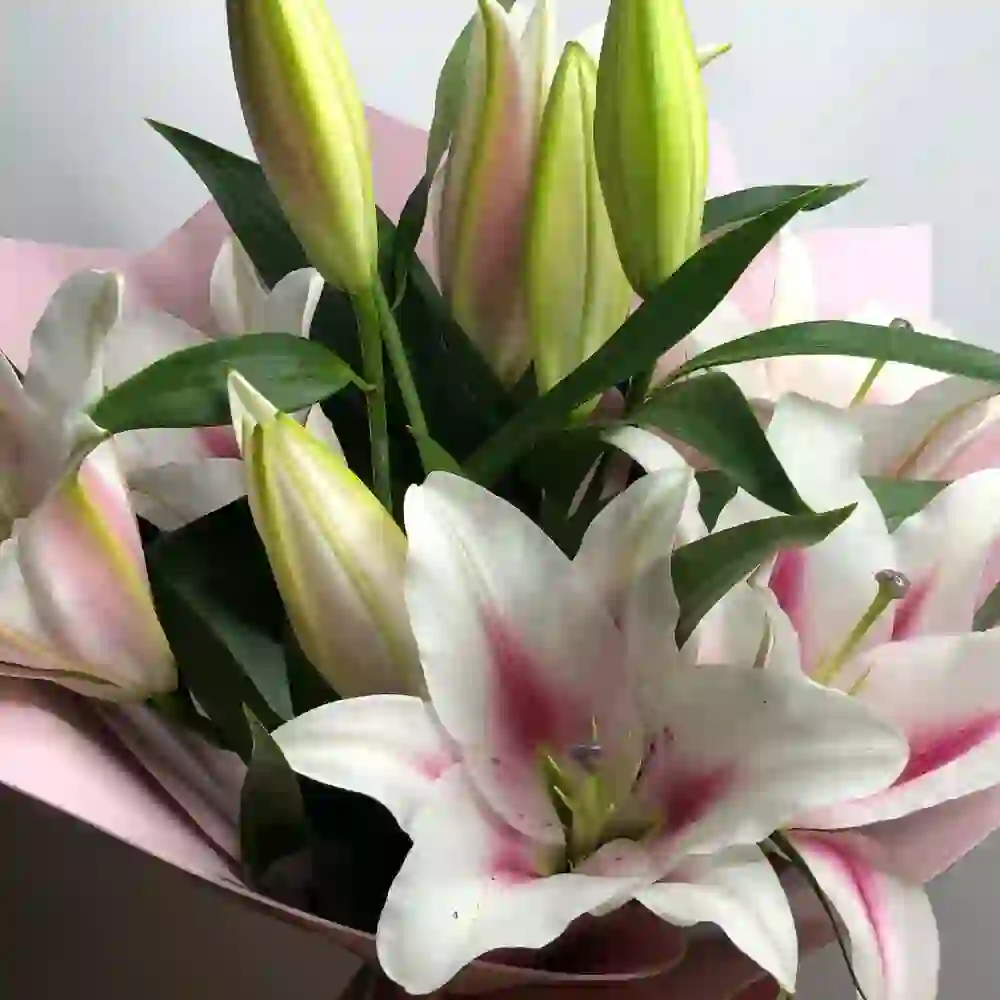 Liliya buketdə