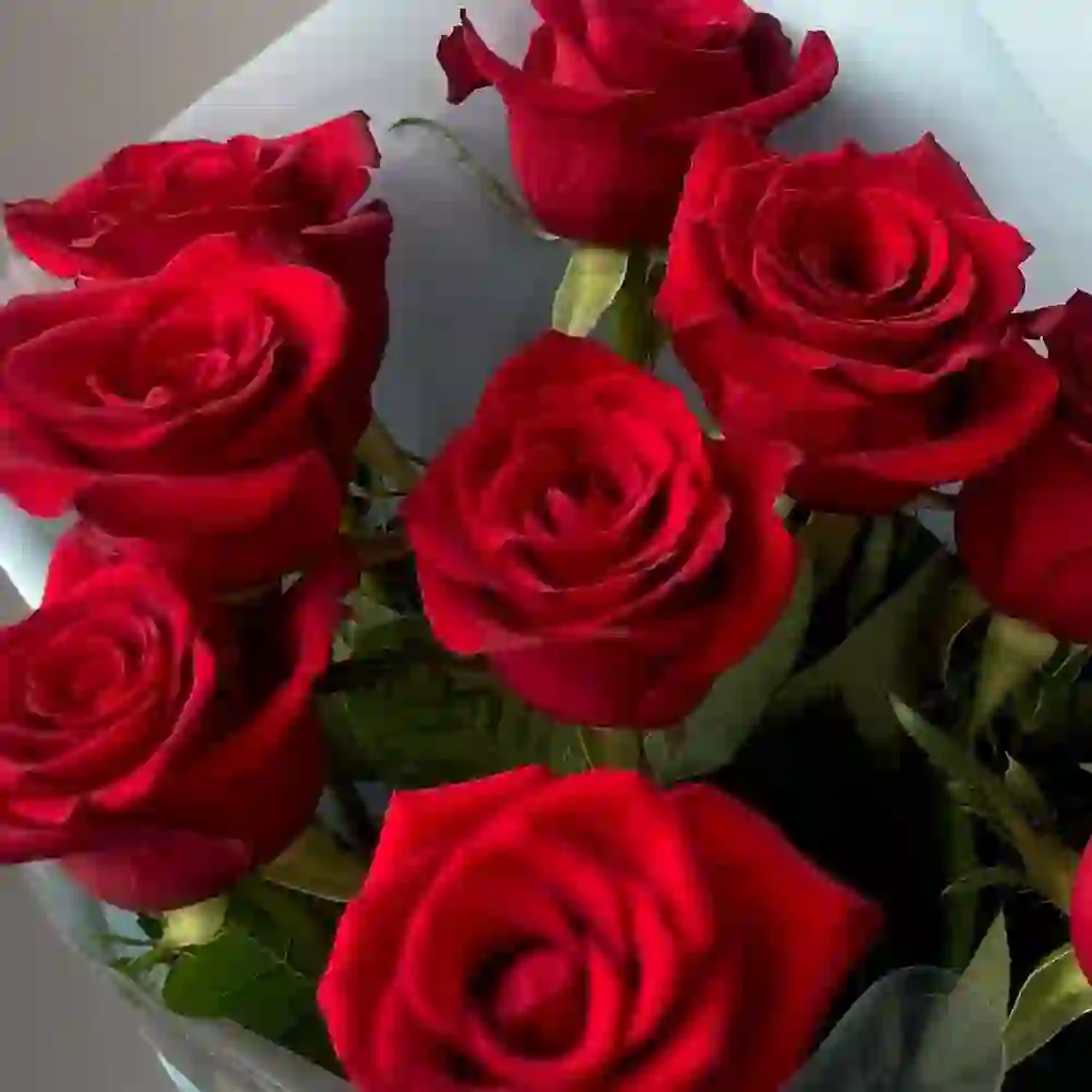 11 roza buketdə