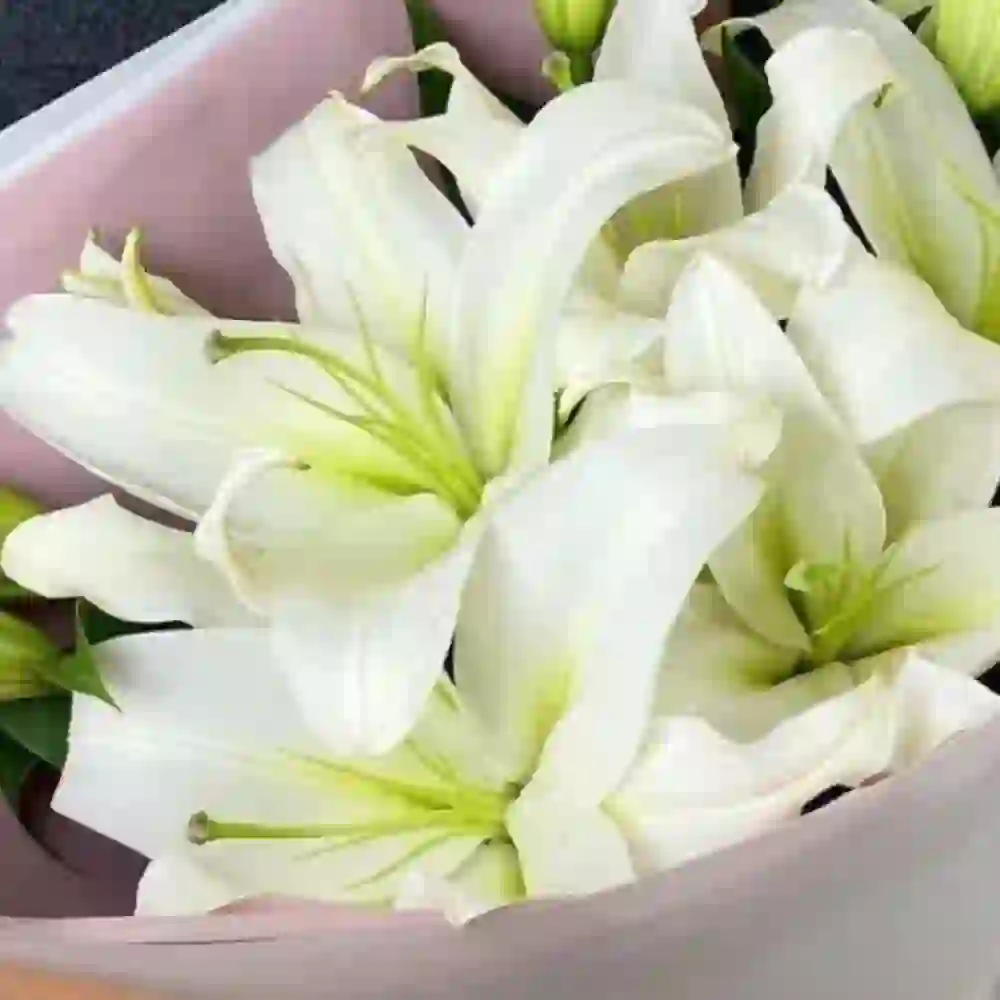 Ağ liliya buketi